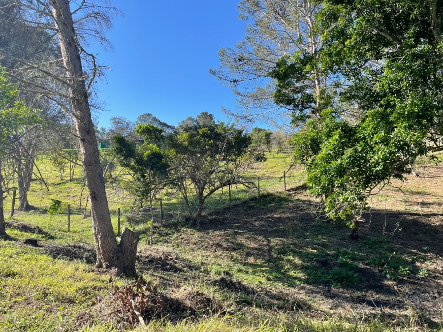 0 Bedroom Property for Sale in Bathurst Eastern Cape